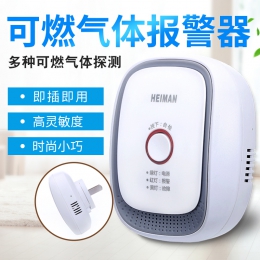 燃?xì)馓綔y器